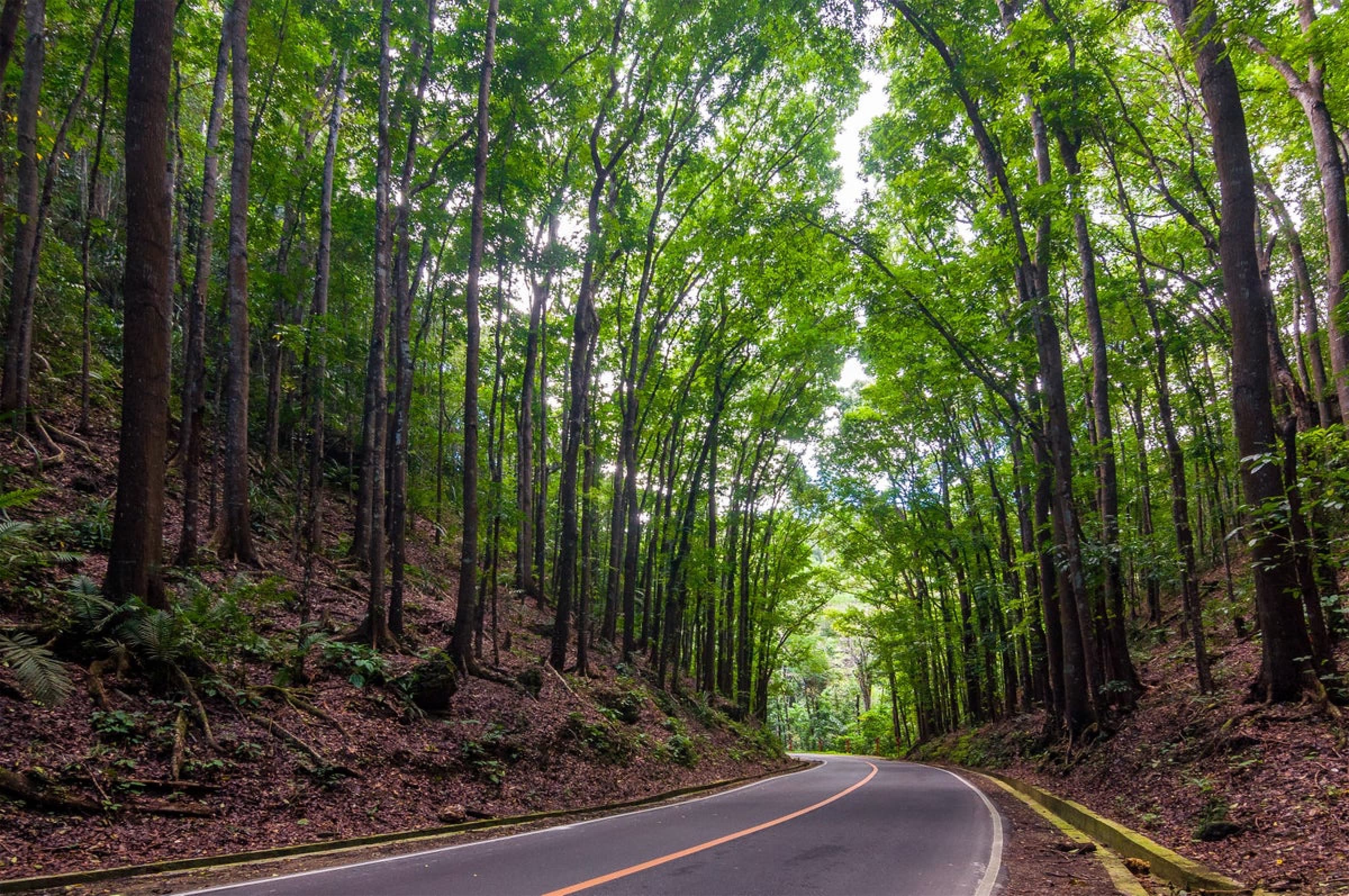 image-/resources/bohol/countryside/manmade.avif1