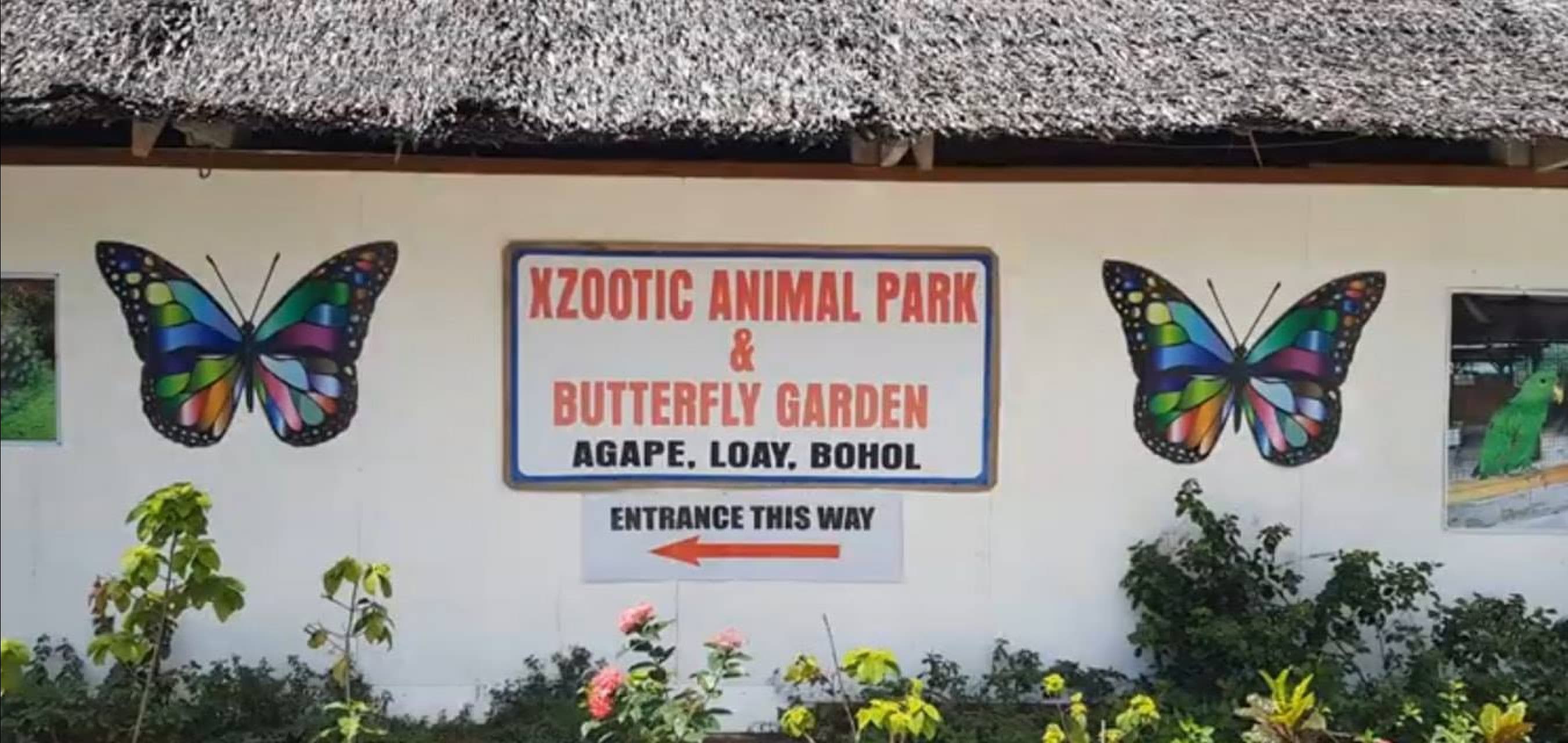 image-/resources/bohol/countryside/xzootic.avif1