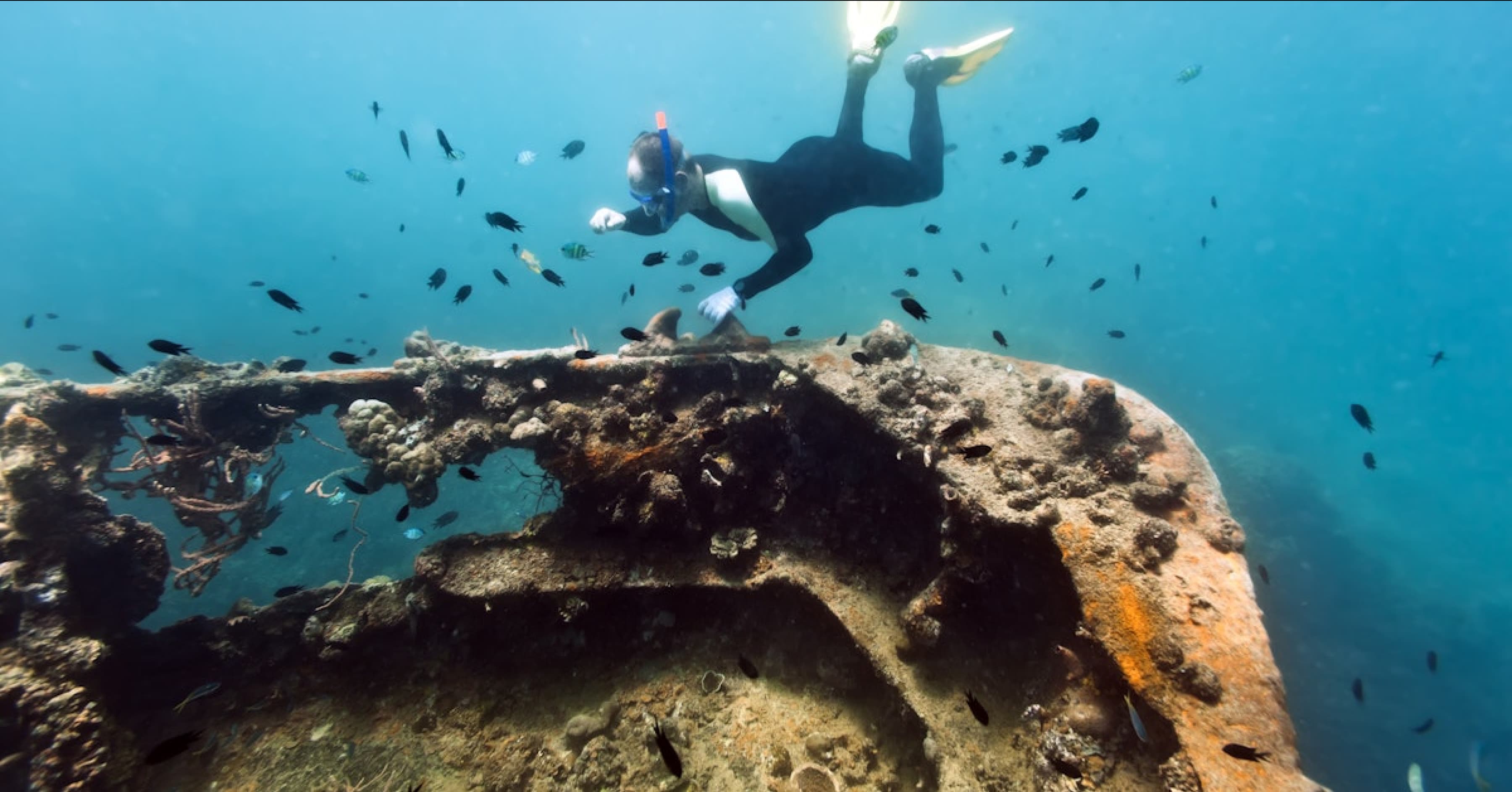 image-/resources/coron/reef-and-wrecks/gunboat.avif1