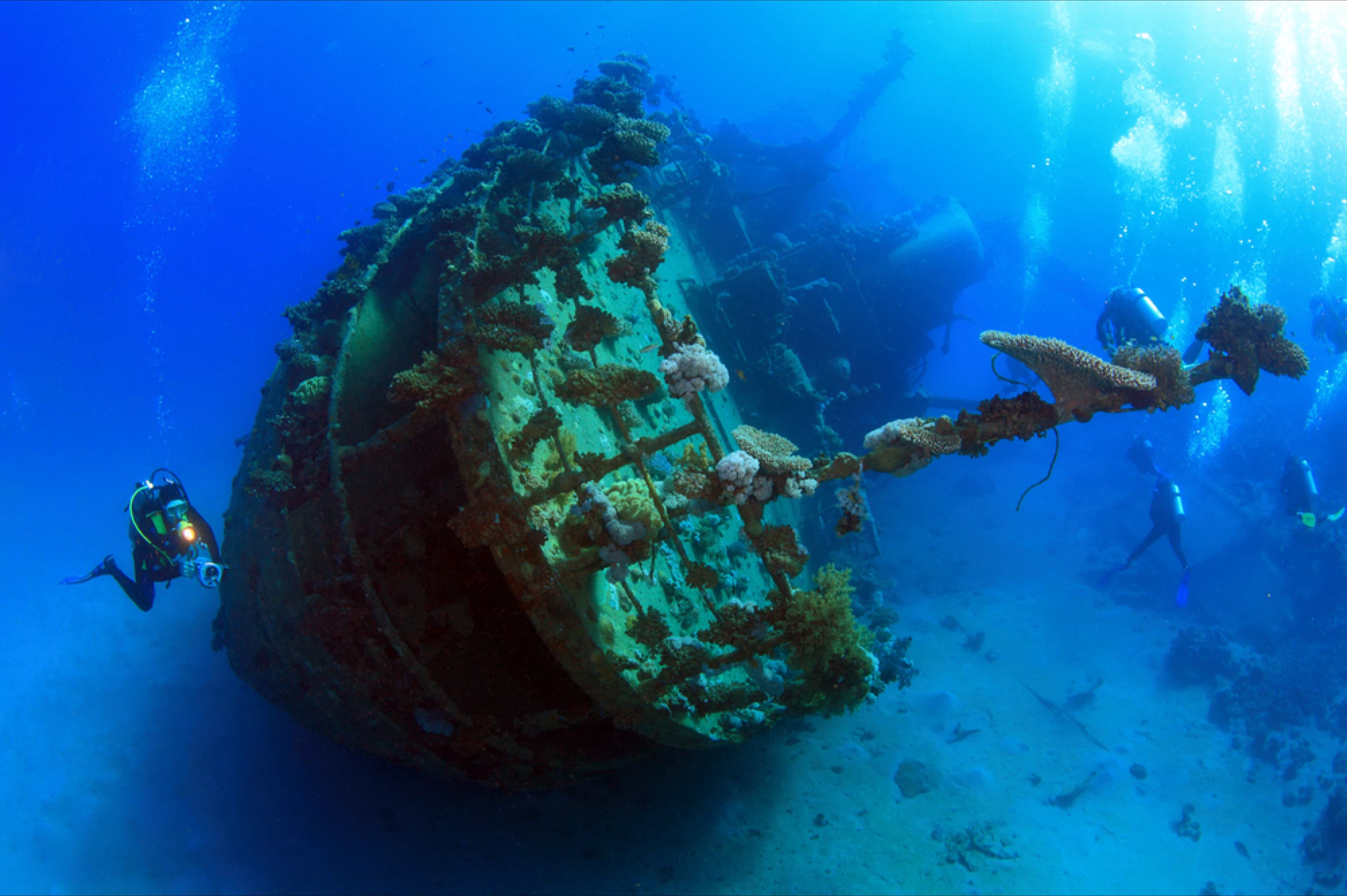 image-/resources/coron/reef-and-wrecks/tangat.avif1