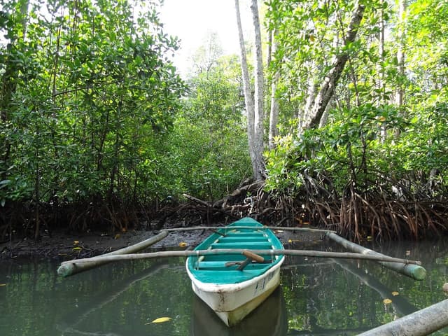 Private Underground River Tour with Ultimate Package with Sidetrips